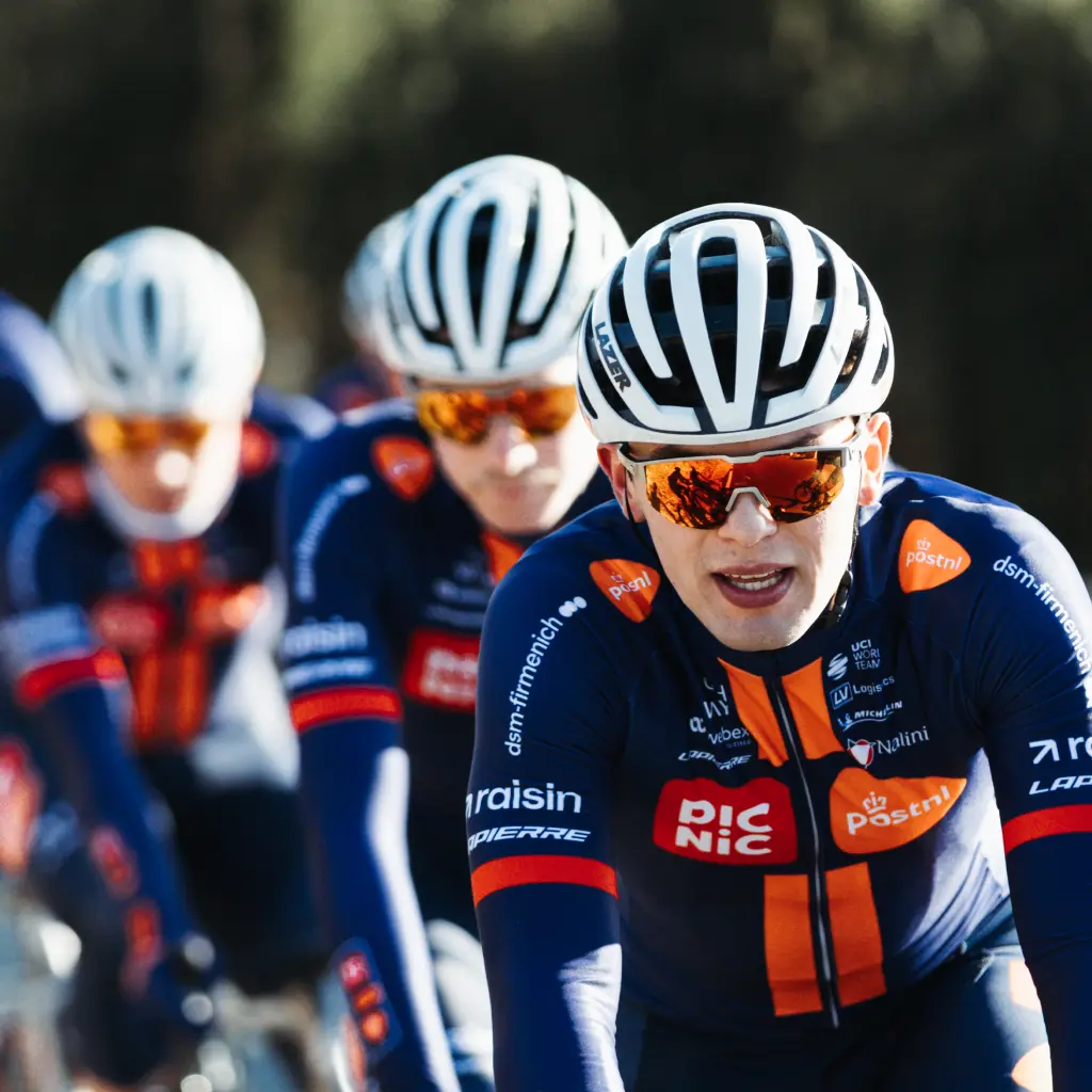 Raisin DE Team PicNic PostNL Team Picnic PostNL