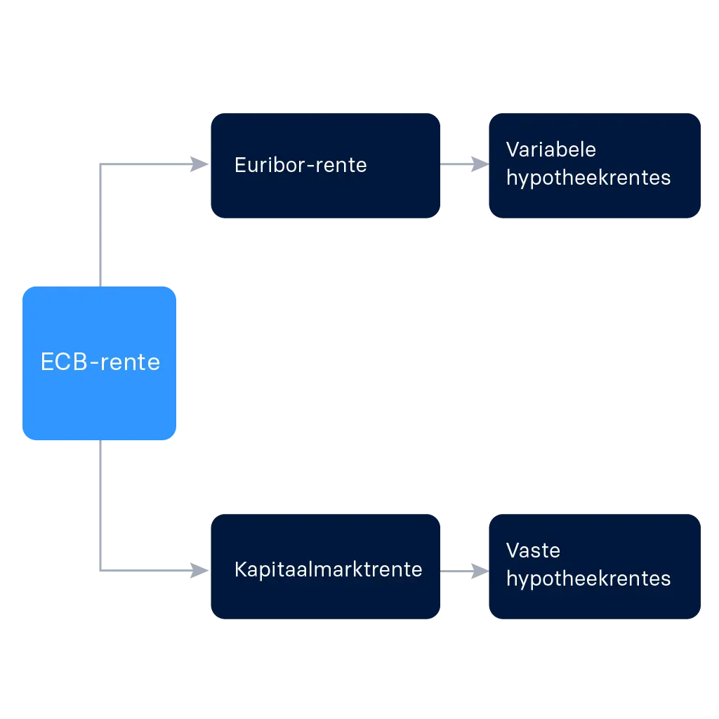 ECB-rente invloed op Euribor & kapitaalmarktrente ECB-rente invloed op Euribor & kapitaalmarktrente
